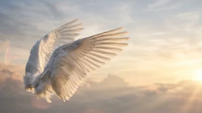 Wing Symbolism